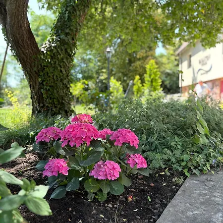 Gæstehus Sziget23 Ábrahámhegy