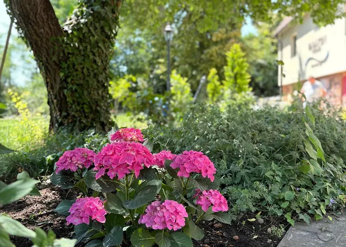 Pensjonat Sziget23 Ábrahámhegy